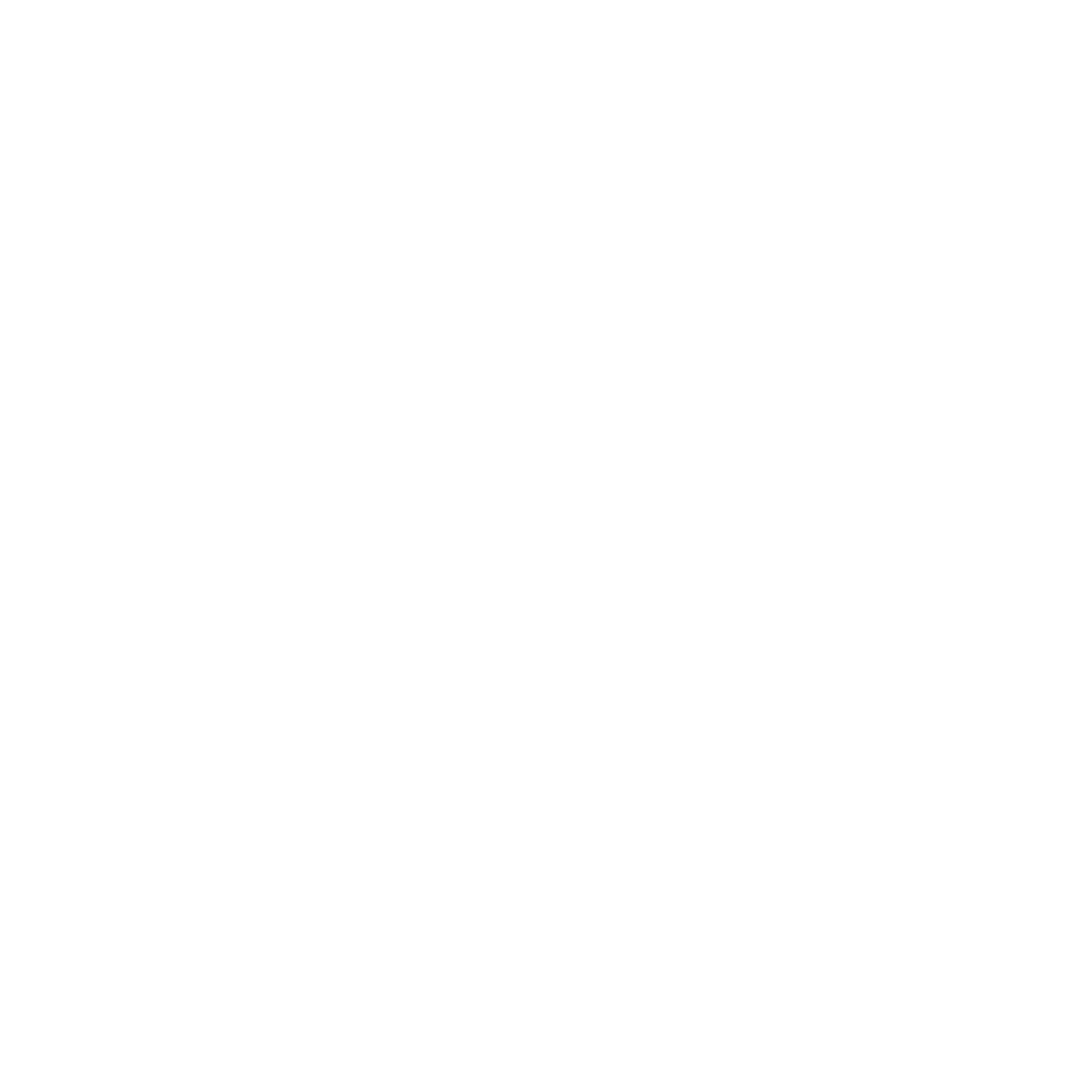 Vize Makinesi